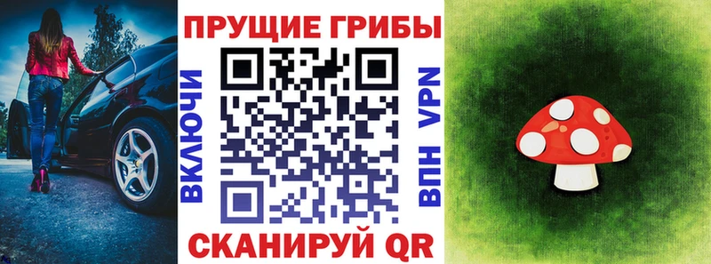 OMG зеркало  Нововоронеж  darknet какой сайт  Галлюциногенные грибы MAGIC MUSHROOMS 