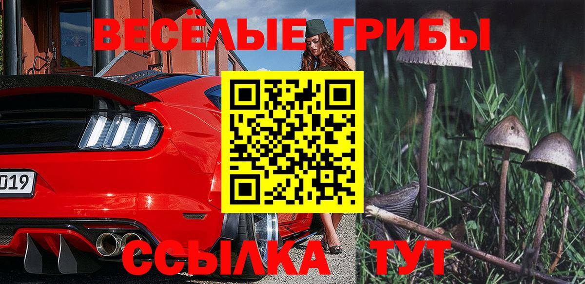 Галлюциногенные грибы мухоморы  Вход с VPN  Нововоронеж 