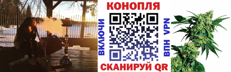 Бошки Шишки AK-47 Нововоронеж
