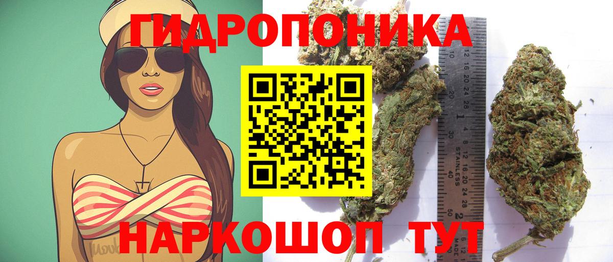 Бошки Шишки семена  Каннабис марихуана  Шишки марихуана индика  Нововоронеж  Вход с VPN 